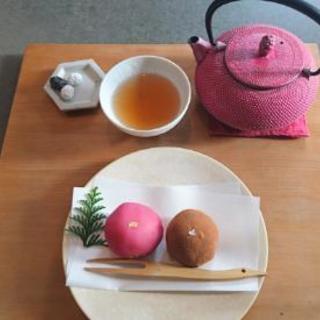女性のお友達募集☆