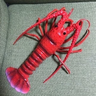 18  伊勢エビの模型おもちゃ