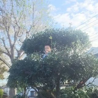 横浜中山 古民家 リラックスヨガの画像
