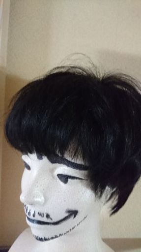 カツラ、ウィッグ 100%人毛