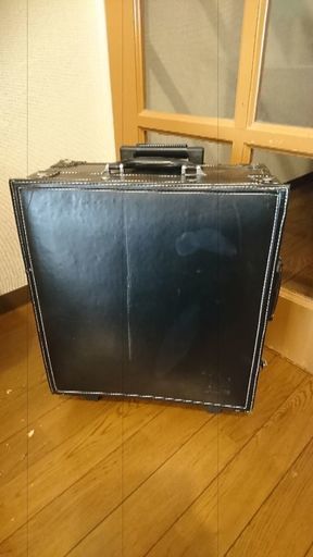 キャリーバック