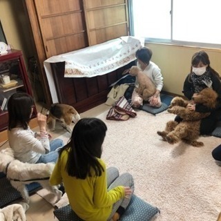 【出張】わんわんマッサージ