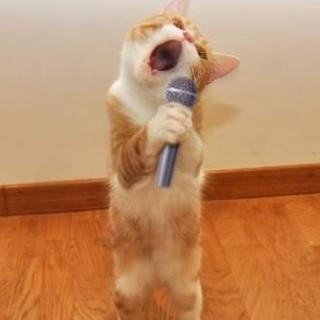 2/3(日) 岡崎でカラオケ♪♪