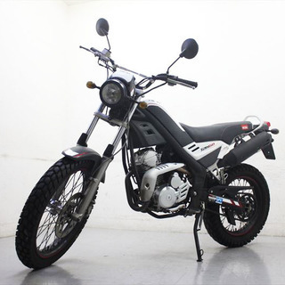オートバイ 125ccバイク RIEJU Tango リエフ タ...