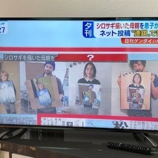 4k対応 43インチ 液晶テレビ ハイセンス