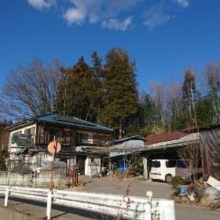 大木の伐採お願いいたします。