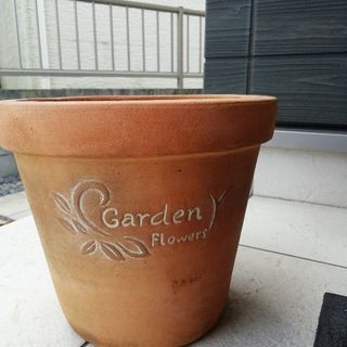 お洒落な鉢