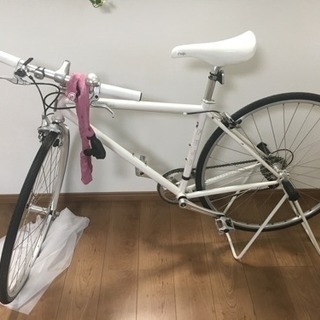 Fuji stratos2013 white model