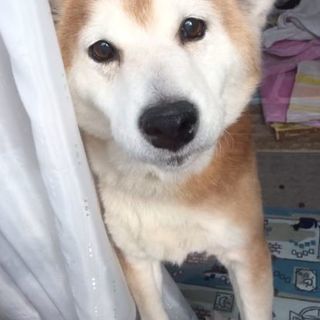 里親様、決まりました！！(^^)