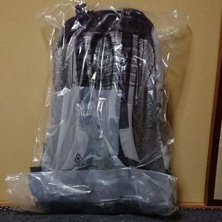 ［新品未使用］ARC'TERYX arro22 アークテリクス アロー22　シルバーの画像