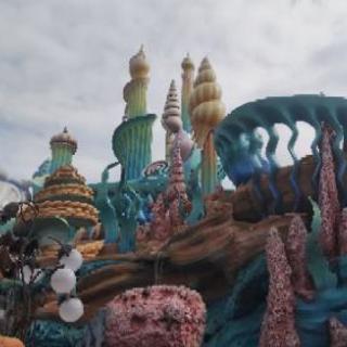 3月に一緒にディズニーシーへ行きませんか？
