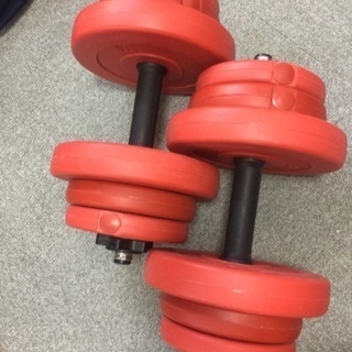ダンベル   10kg×２個