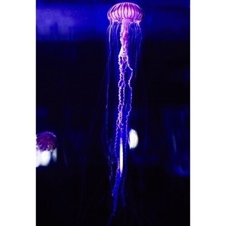 カメラで写真撮る人と仲良くなりたい☆