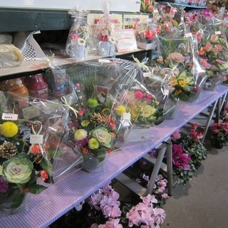 岐阜市のお花屋さん　スタッフ募集中！の画像