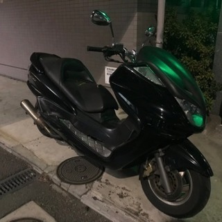 マジェc 格安