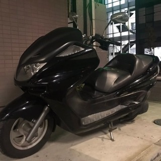 マジェc 格安の画像