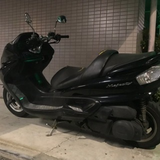 マジェc 格安の画像