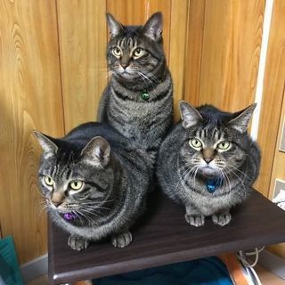 今年の７月で５歳になります。