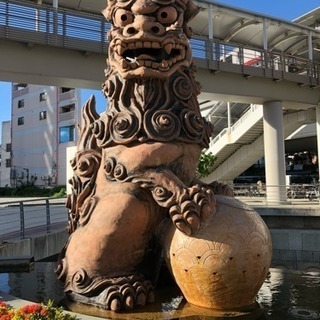 猫ちゃんのお世話