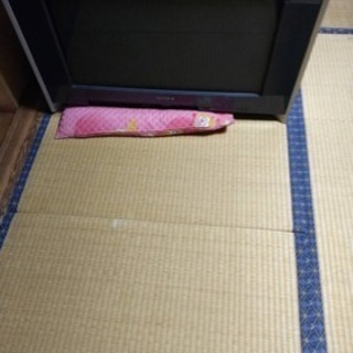 ジャンク品の画像