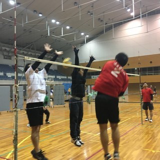 ソフトバレーボール　メンバー募集