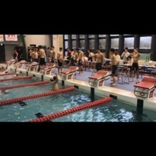 水泳の個人レッスン（競技歴15年、指導歴5年）の画像