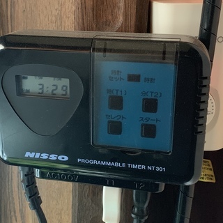 コリドラス レッドチェリーシュリンプ ボララスマキュラータス 水槽用品等の画像