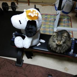 スヌーピーBIGぬいぐるみの画像