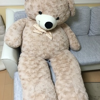 ぬいぐるみ テディベア くま 特大 170cm コストコ
