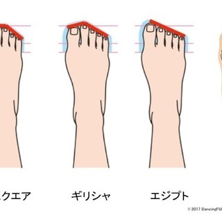 爪先立ち実験協力者募集-MRI画像あげます