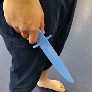 足立ワンコイン護身術レッスンの画像