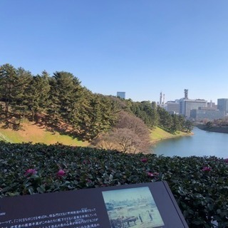 皇居ウォーク＆ランチ(不定期)メンバー募集 - 千代田区