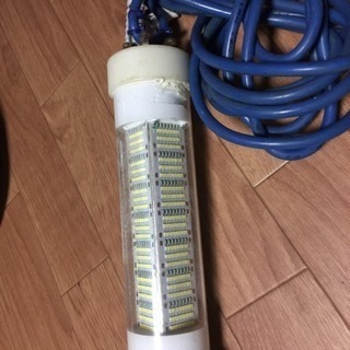 シラスウナギ 集魚灯 LED