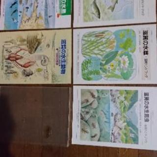 滋賀の自然観察シリーズ