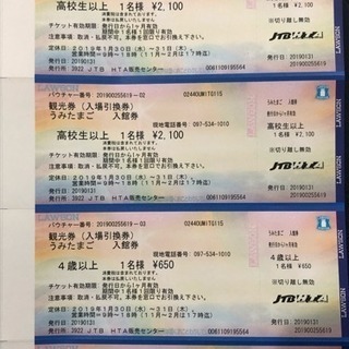 決まりました。うみたまご 入館券🐠大人2名 幼児1名