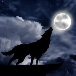 2月16日(土)大阪 🐺月夜の人狼会🐺