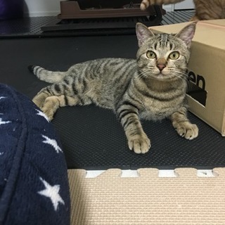 ずいぶんと人馴れしてきました！