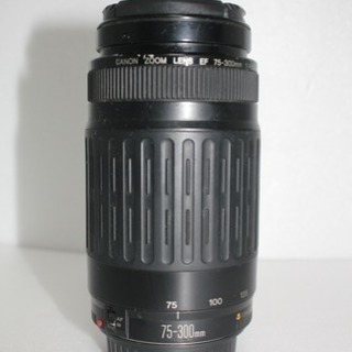 Canon EF 75-300mm F4.5-5.6 ii