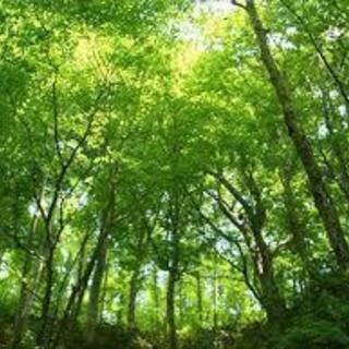 札幌メンタルヘルスグルチャ募集