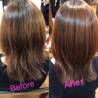 100%自然の物で髪をトリートメント 2/20まで受付の画像