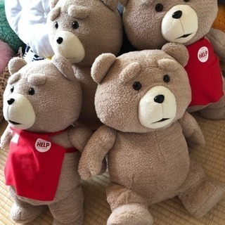 ted ぬいぐるみ 未使用品
