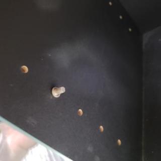 テレビ台の画像