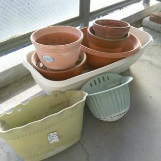植木鉢等　全部あげます！
