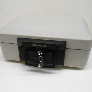 Sentry Safe 耐火 保管庫 R4132 金庫 セントリ...