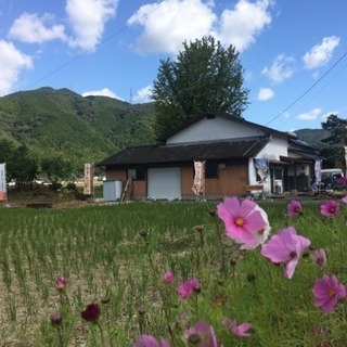 【秋月 癒しの杜】秋月の綺麗な水で育ったお米（夢つくし） - その他