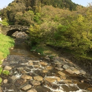 【秋月 癒しの杜】秋月の綺麗な水で育ったお米（夢つくし） − 福岡県