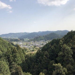 【秋月 癒しの杜】秋月の綺麗な水で育ったお米（夢つくし） - 地元のお店