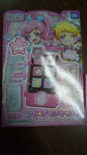 プリチャンキャスト\u0026プリチケミニファイル×4