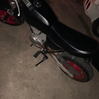 バイクエイプの画像