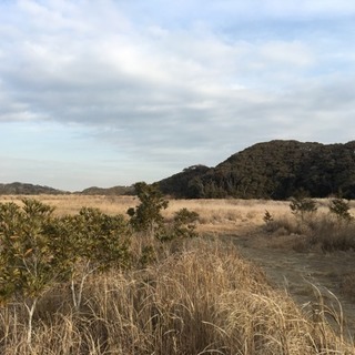 狩猟、ハンター仲間募集 − 神奈川県